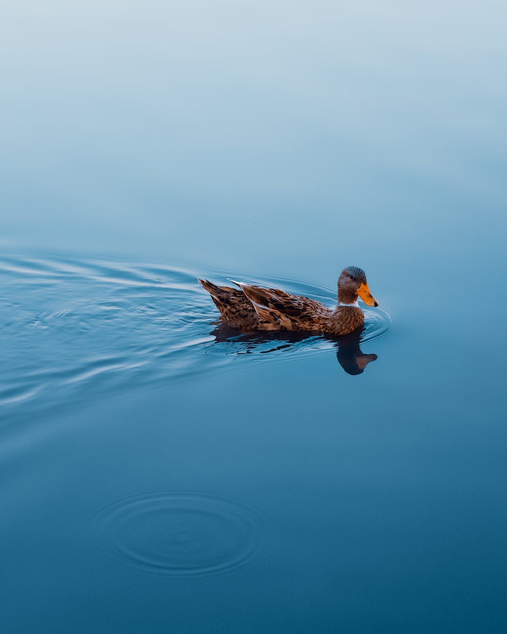 How to Be a Leader Without Followers…Yet