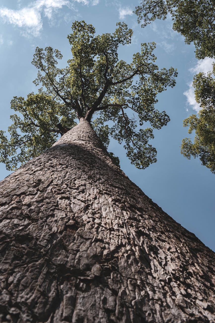 Your Business Can’t Outperform Your Programming