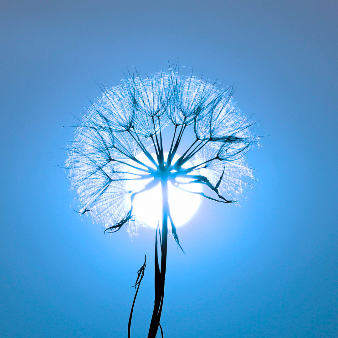 Clean Thinking: The Strategy We Need in a World That Profits from Confusion