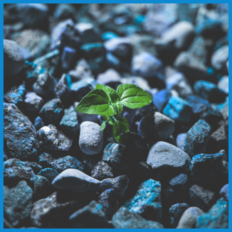 The Blueprint for Your Own Becoming