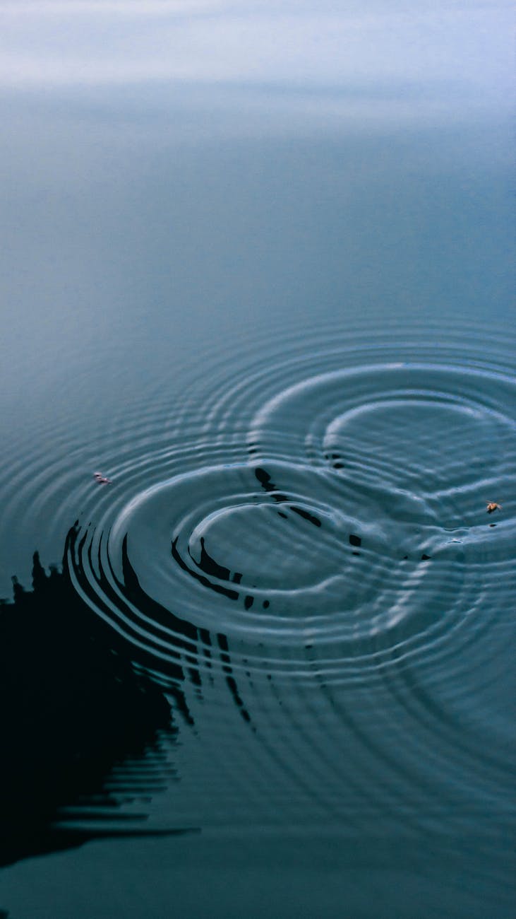 ripples on the water surface